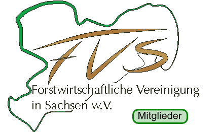 FVS Logo